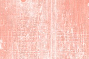 pink-gbb868e13a_640